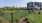 a fenced in yard with a house and trees in the background