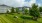 Dog park surrounded by trees